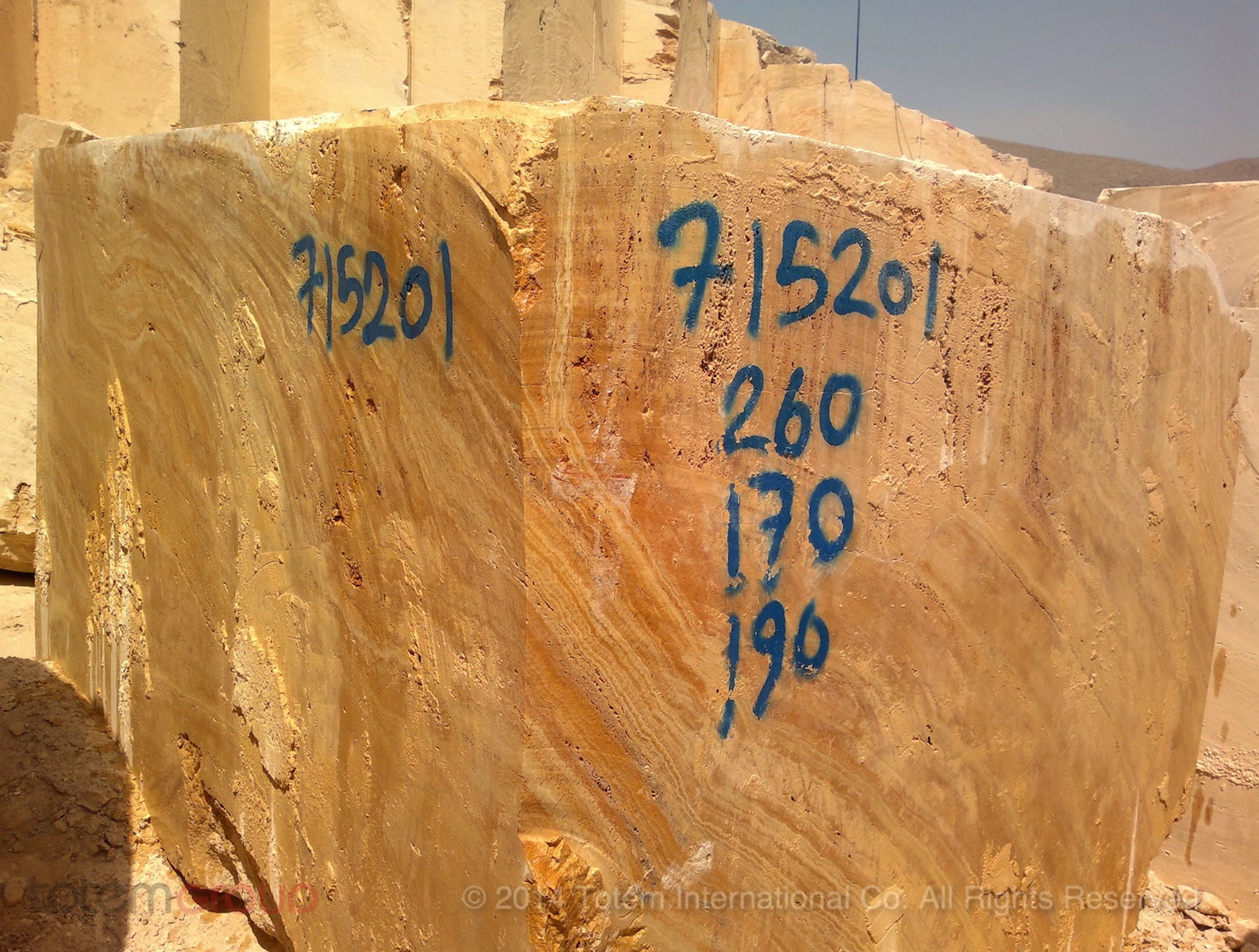 TGTR 325 - Golden Travertine
